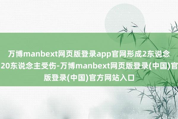 万博manbext网页版登录app官网形成2东说念主示寂、约20东说念主受伤-万博manbext网页版登录(中国)官方网站入口